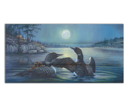 A painting of two grown loons, with two baby loons on one of their backs. They are floating on a lake under the moonlight, with a campground on the land in the distance. Printed on a box board.