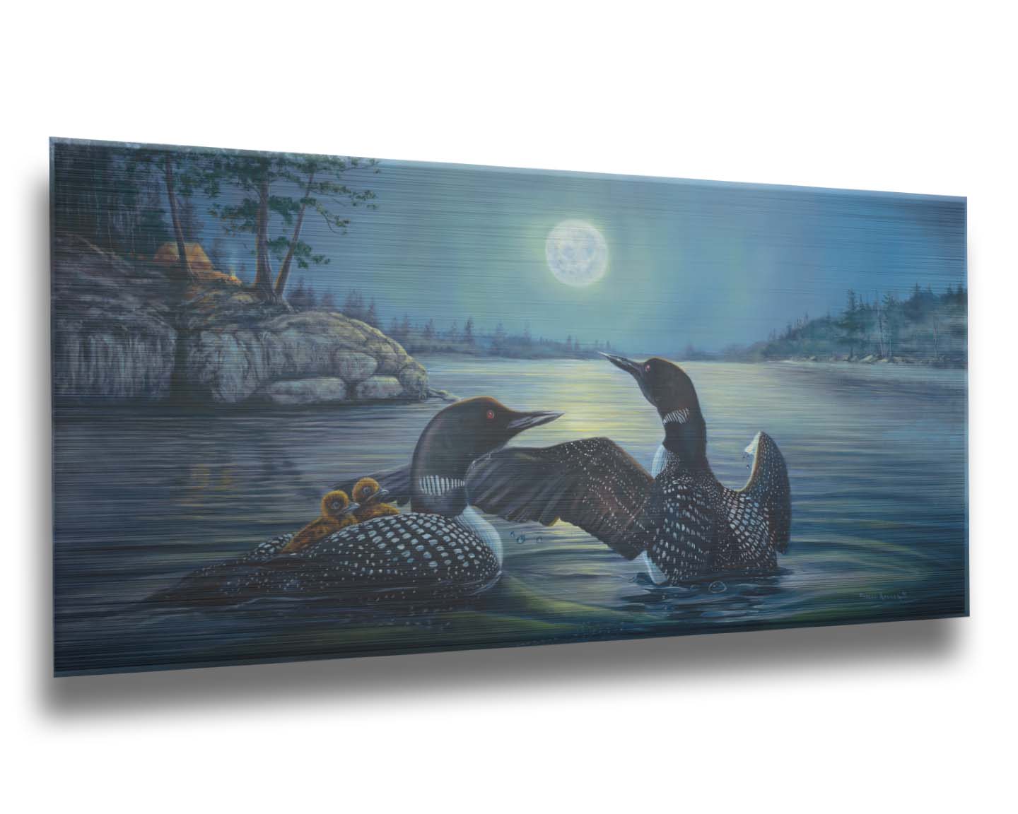 A painting of two grown loons, with two baby loons on one of their backs. They are floating on a lake under the moonlight, with a campground on the land in the distance. Printed on metal.