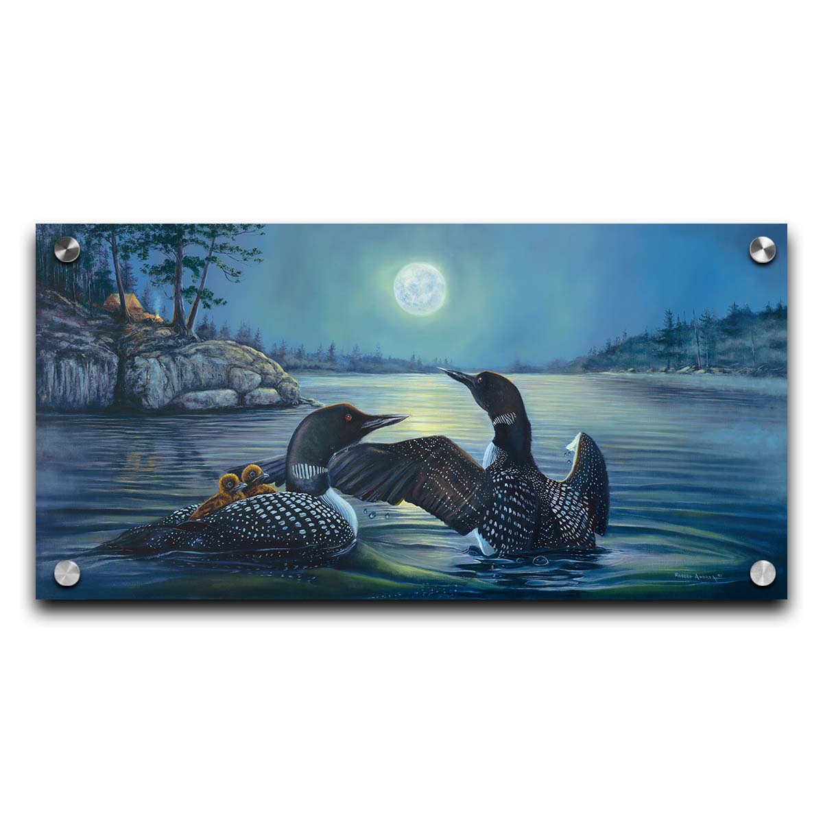 A painting of two grown loons, with two baby loons on one of their backs. They are floating on a lake under the moonlight, with a campground on the land in the distance. Printed on acrylic.