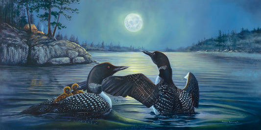 A painting of two grown loons, with two baby loons on one of their backs. They are floating on a lake under the moonlight, with a campground on the land in the distance.