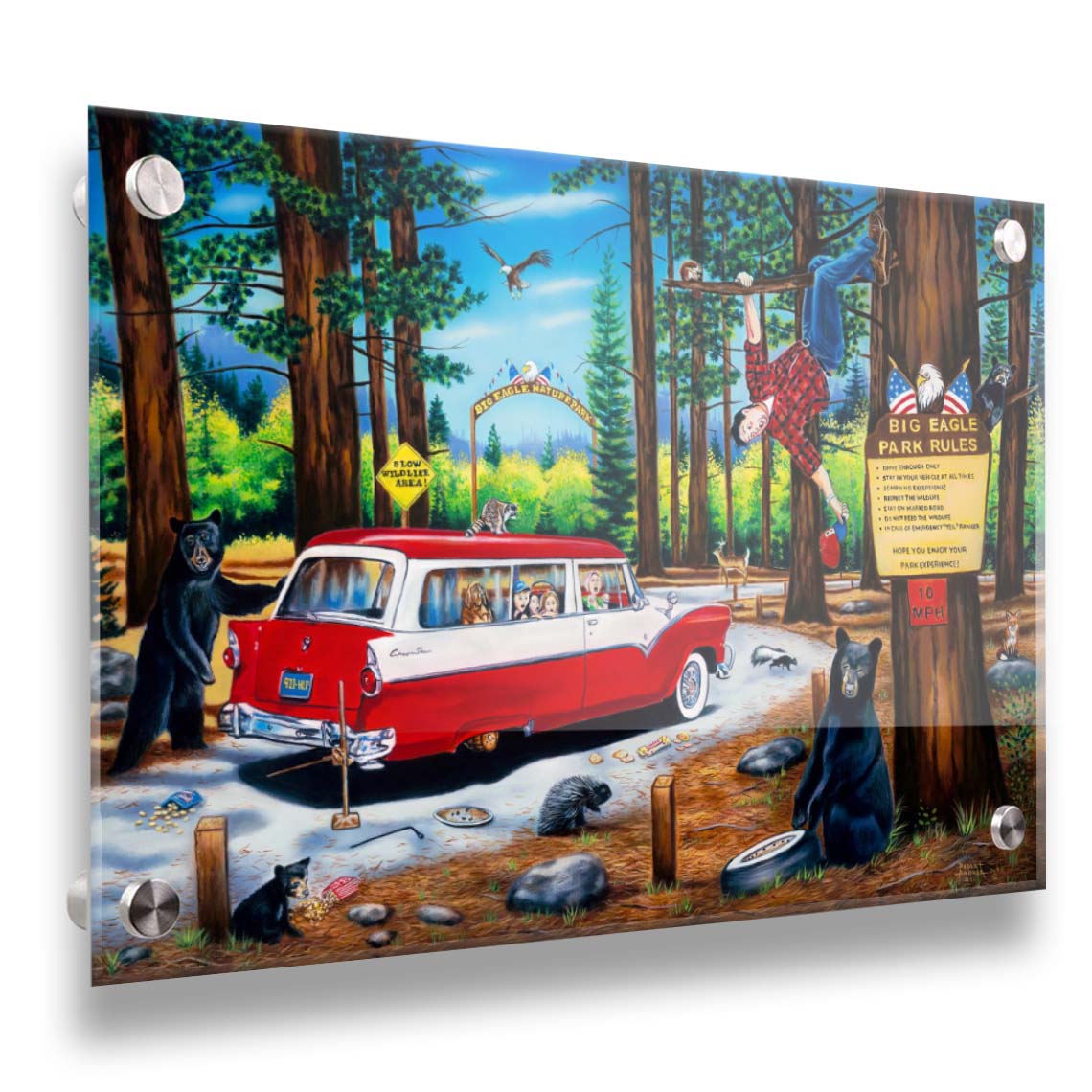 A painting of a family vacation gone awry in the 1950s, as a tire change on a drive-through nature trail descends into chaos. Bears, raccoons, skunks, foxes, porcupines, deer, squirrels, and eagles can all be seen around the 1950s car. The man who was attempting to change the tire has frantically climbed into a tree. Printed on acrylic.