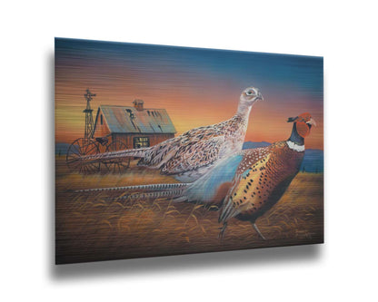 A painting of two pheasants, walking through golden grasses against a colorful sunset. Printed on metal.