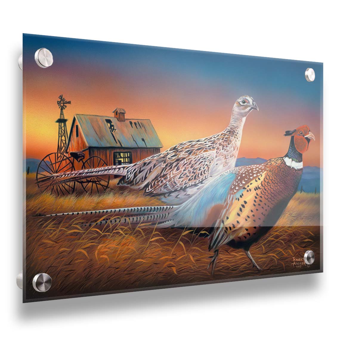 A painting of two pheasants, walking through golden grasses against a colorful sunset. Printed on acrylic.