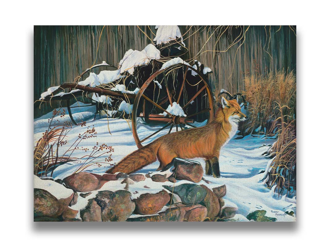 A painting of a red fox in the winter snow. It is standing by some old farming equipment, grasses, and stones. Printed on canvas.