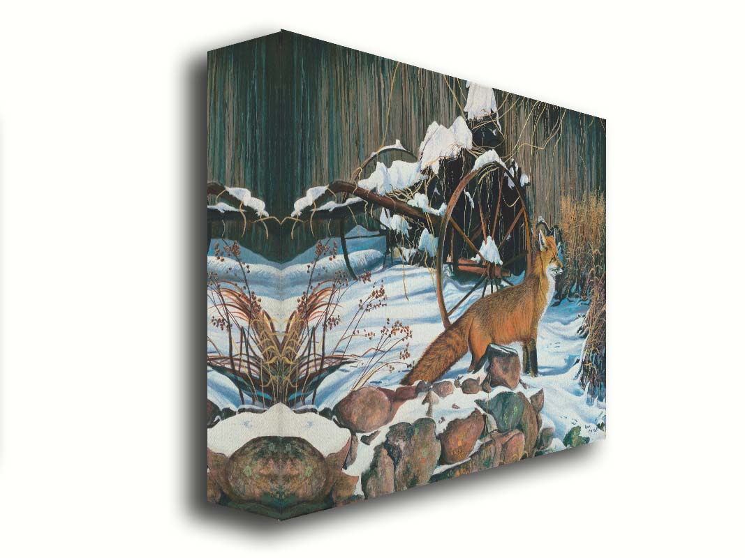 A painting of a red fox in the winter snow. It is standing by some old farming equipment, grasses, and stones. Printed on canvas.