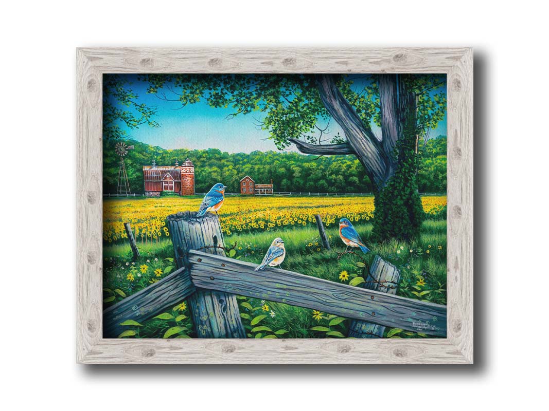 A painting of little blue birds perched on a fench before a field of sunflowers. Printed on canvas and framed.