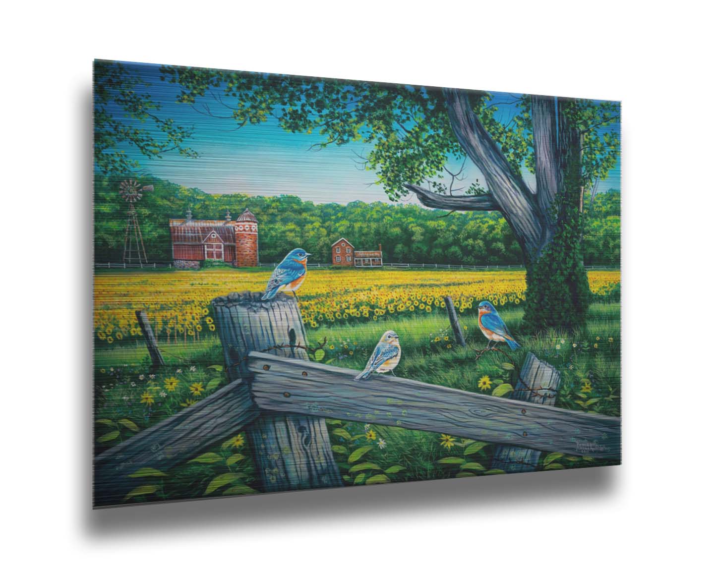 A painting of little blue birds perched on a fench before a field of sunflowers. Printed on metal.