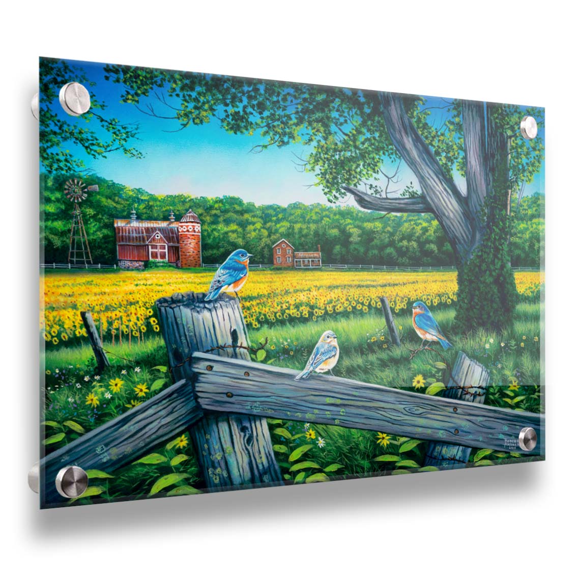 A painting of little blue birds perched on a fench before a field of sunflowers. Printed on acrylic.