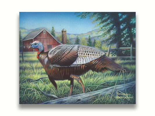 A painting of a turkey walking through the grass in front of a barn. Printed on canvas.