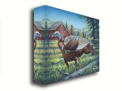 A painting of a turkey walking through the grass in front of a barn. Printed on canvas.