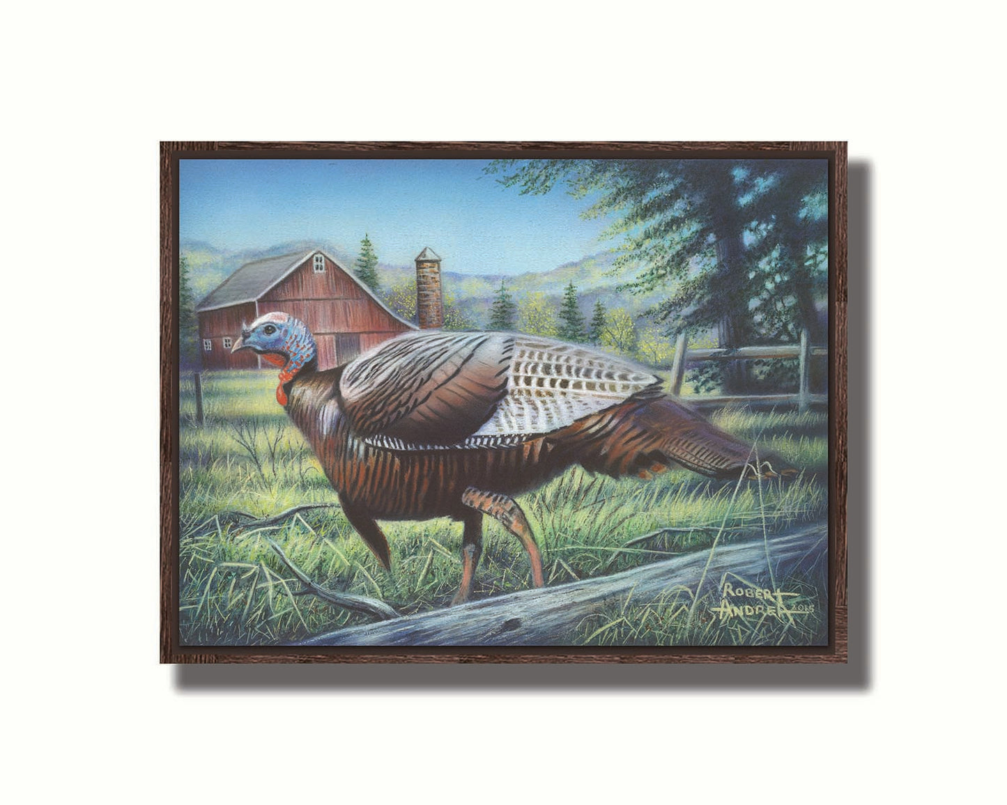 A painting of a turkey walking through the grass in front of a barn. Printed on canvas in a float frame.