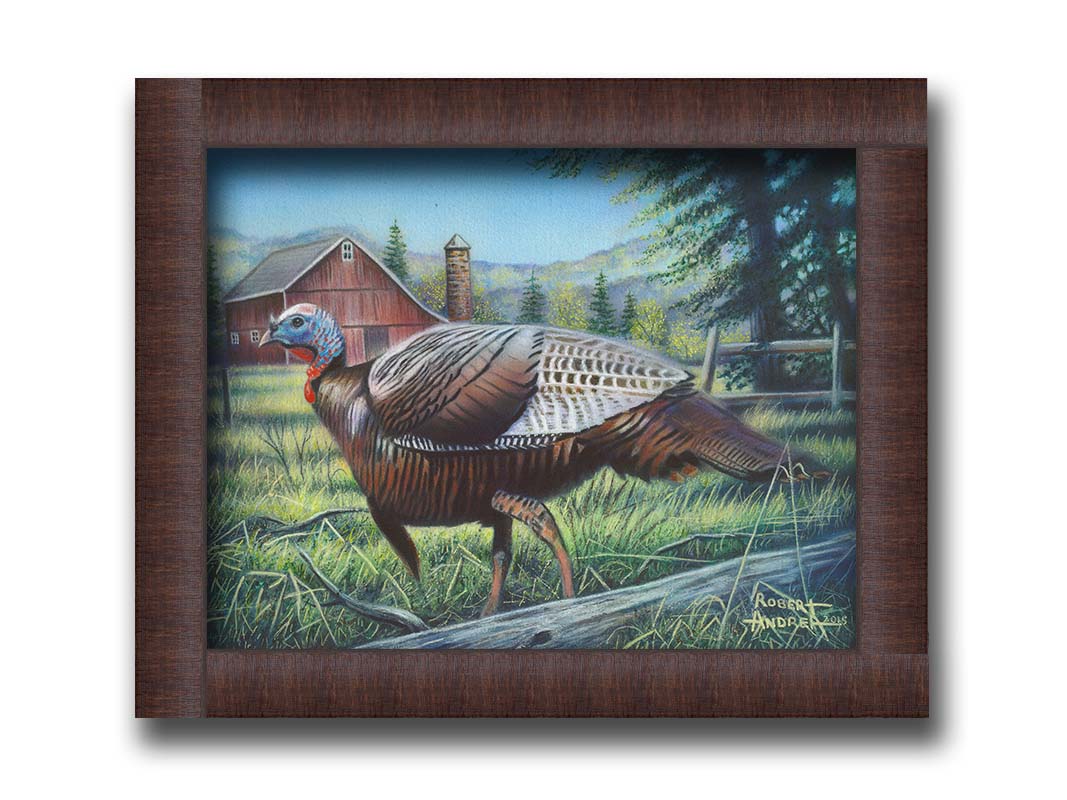 A painting of a turkey walking through the grass in front of a barn. Printed on canvas and framed.