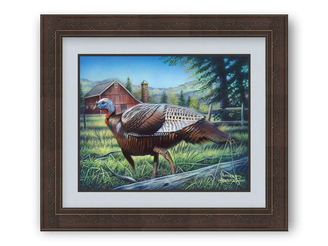 A painting of a turkey walking through the grass in front of a barn. Printed on paper, matted, and framed.