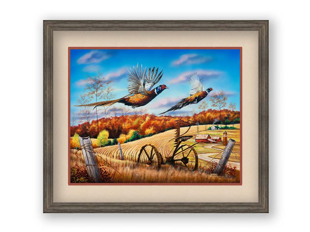 A painting of two pheasants taking flight over a fall wheat field. Printed on paper, matted, and framed.