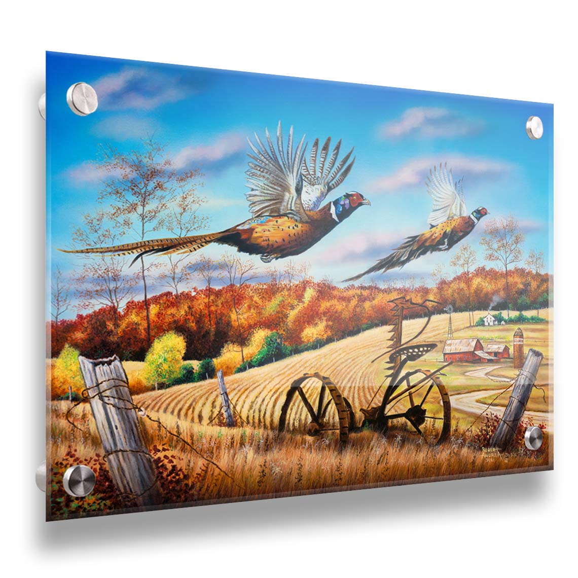 A painting of two pheasants taking flight over a fall wheat field. Printed on acrylic.