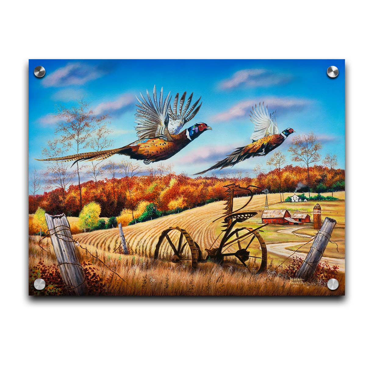 A painting of two pheasants taking flight over a fall wheat field. Printed on acrylic.