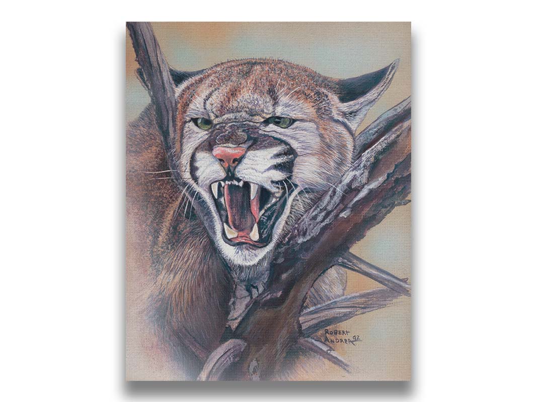 A painting of a snarling mountain lion peering through a tree. Printed on canvas.