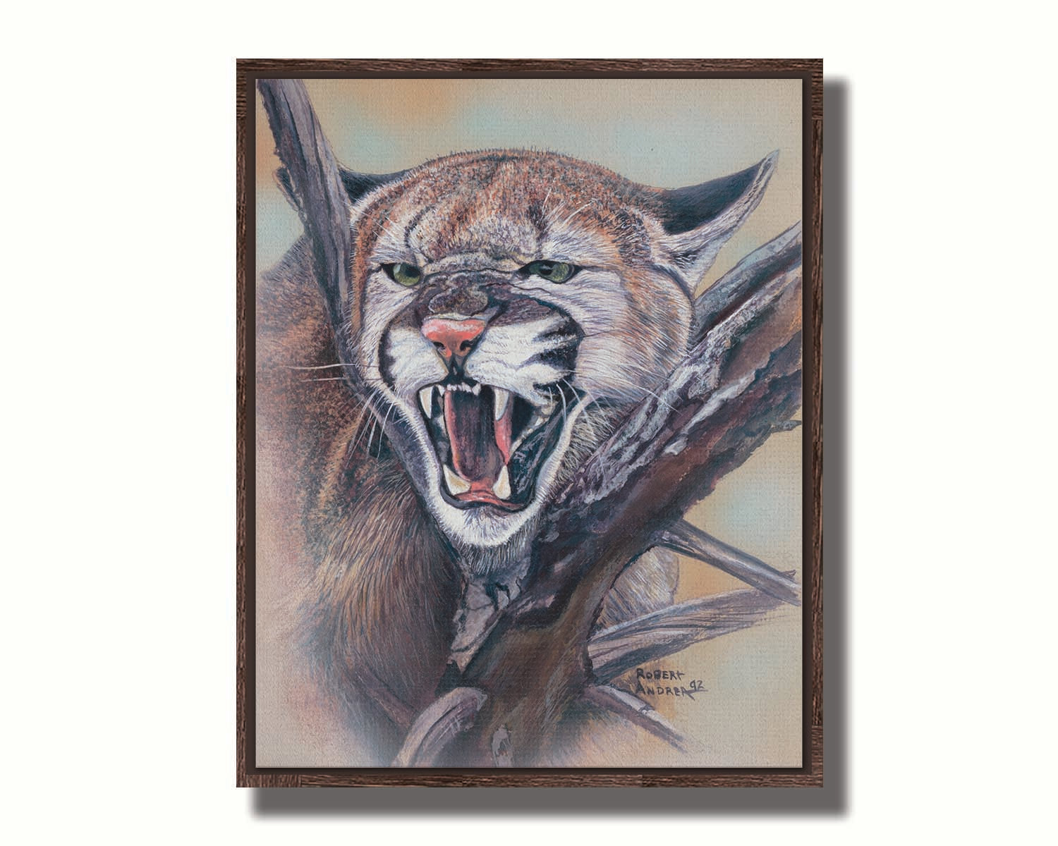 A painting of a snarling mountain lion peering through a tree. Printed on canvas in a float frame.