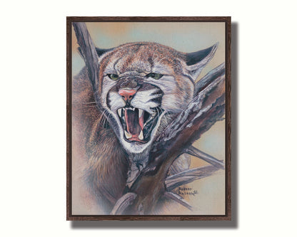 A painting of a snarling mountain lion peering through a tree. Printed on canvas in a float frame.