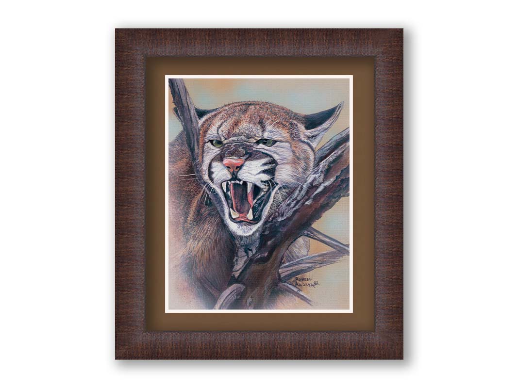 A painting of a snarling mountain lion peering through a tree. Printed on paper, matted, and framed.