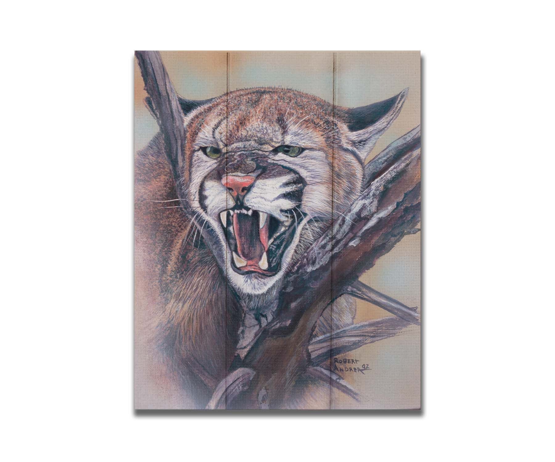 A painting of a snarling mountain lion peering through a tree. Printed on a box board.