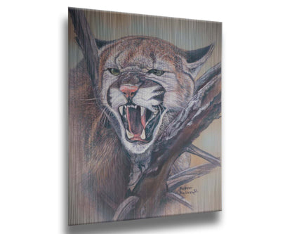 A painting of a snarling mountain lion peering through a tree. Printed on metal.