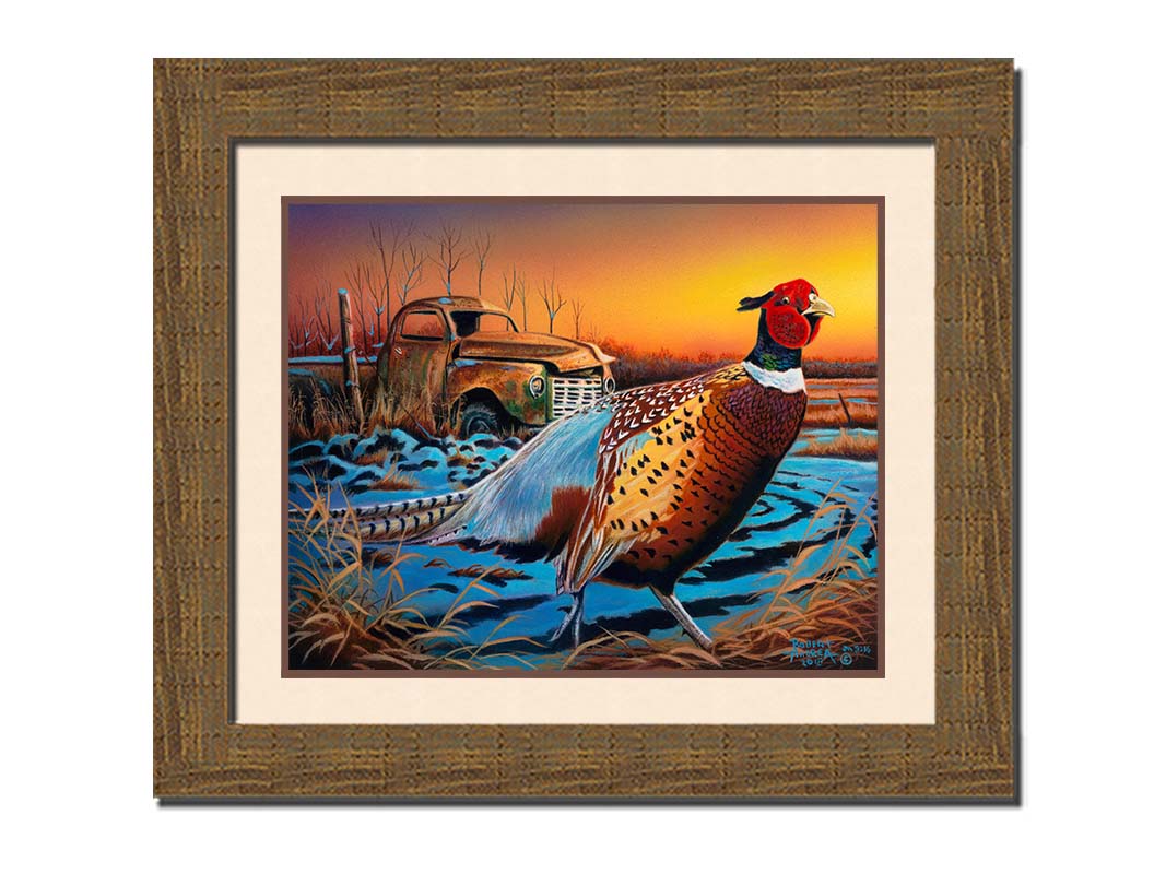 A painting of a pheasant trotting through a snowy field. In the background, an old green truck sits rusted. The sun is low in the sky, creating a soft orange atmosphere. Printed on paper, matted, and framed.