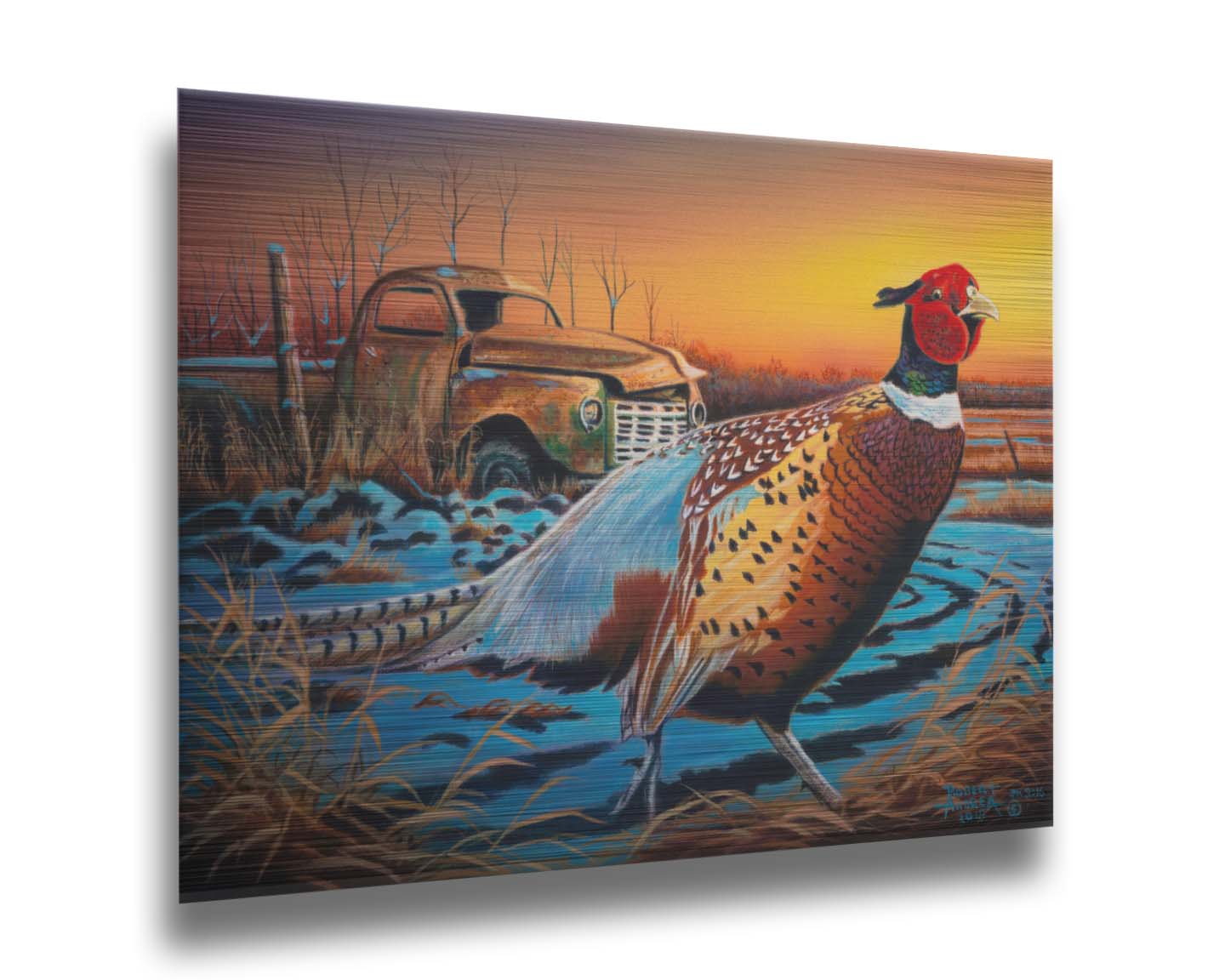 A painting of a pheasant trotting through a snowy field. In the background, an old green truck sits rusted. The sun is low in the sky, creating a soft orange atmosphere. Printed on metal.