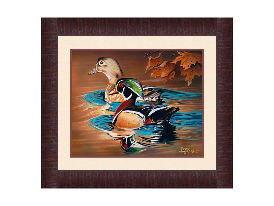 A painting of two wood ducks swimming through the water during fall. Their reflections are broken by the ripples of the water. Printed on paper, matted, and framed.