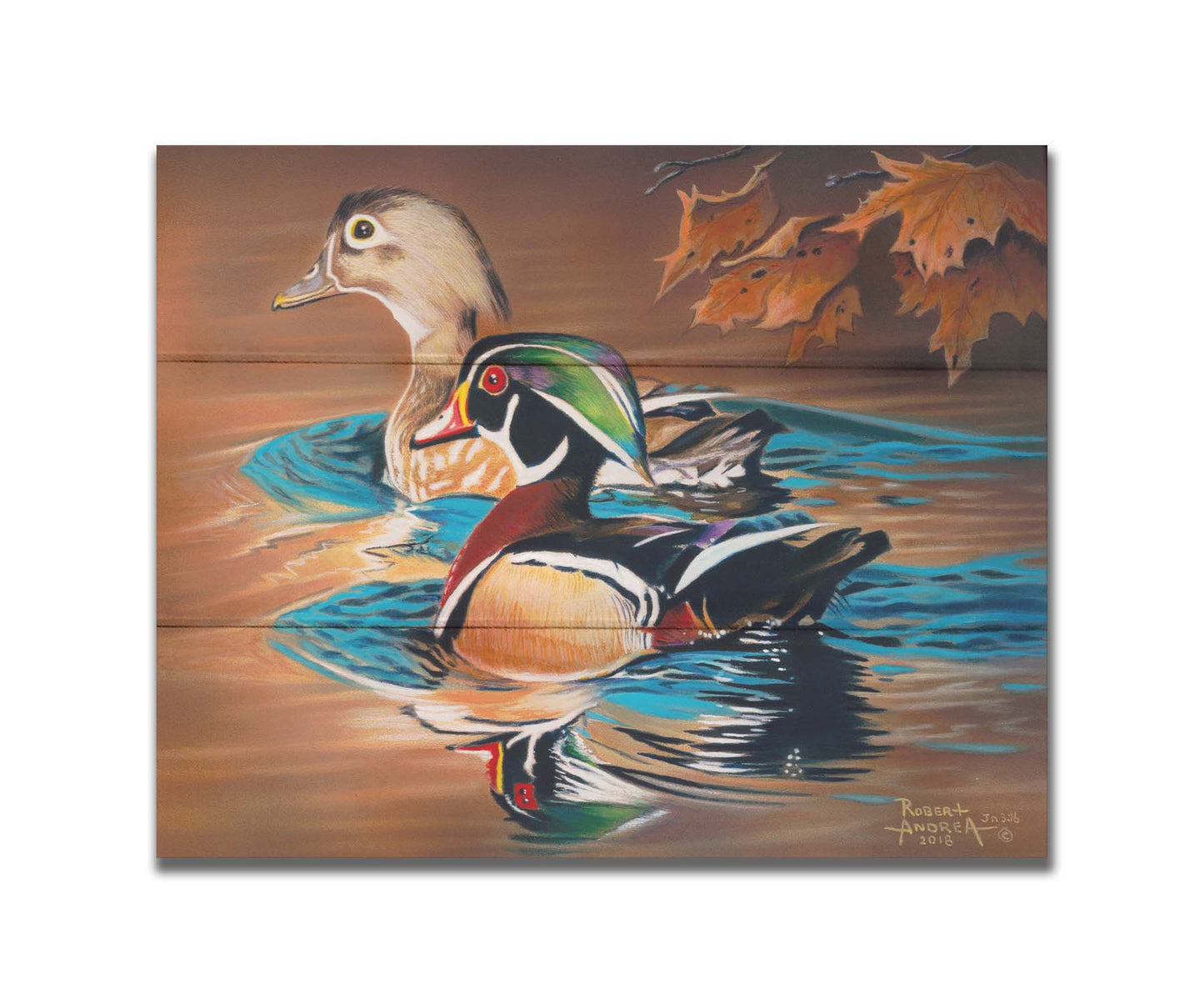 A painting of two wood ducks swimming through the water during fall. Their reflections are broken by the ripples of the water. Printed on a box board.