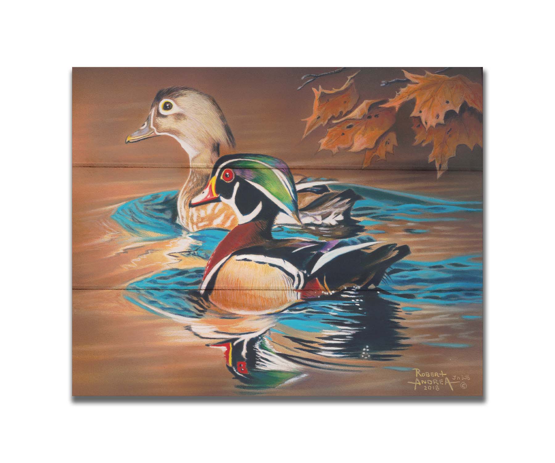 A painting of two wood ducks swimming through the water during fall. Their reflections are broken by the ripples of the water. Printed on a box board.