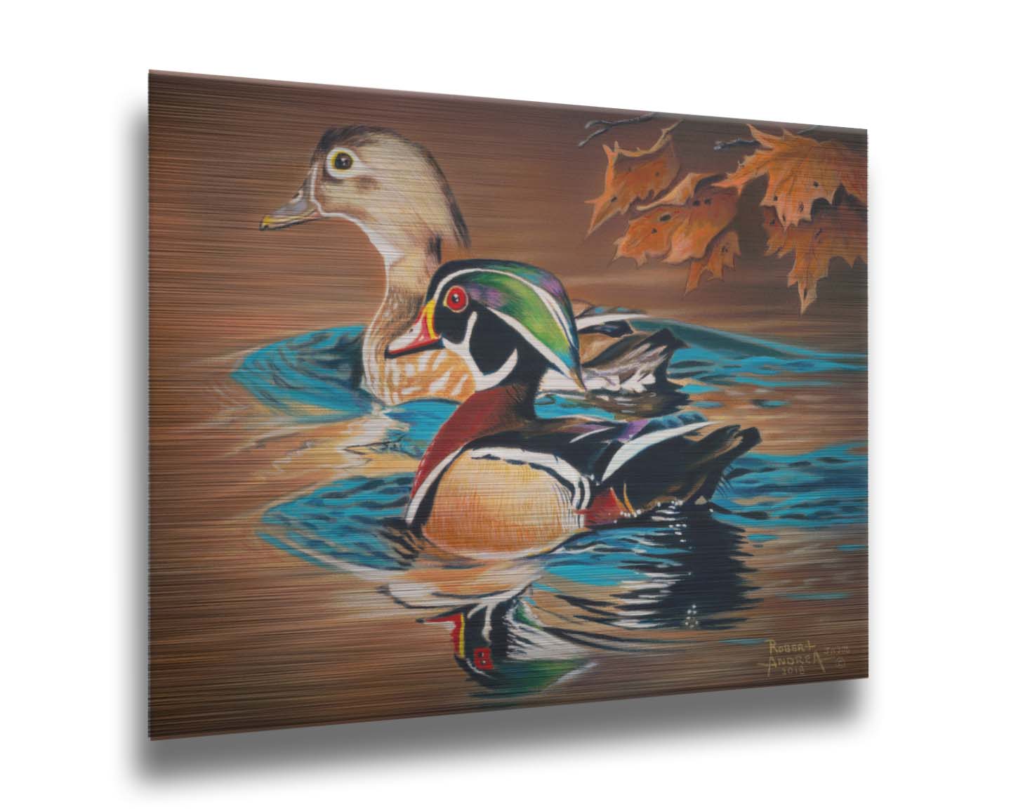 A painting of two wood ducks swimming through the water during fall. Their reflections are broken by the ripples of the water. Printed on metal.