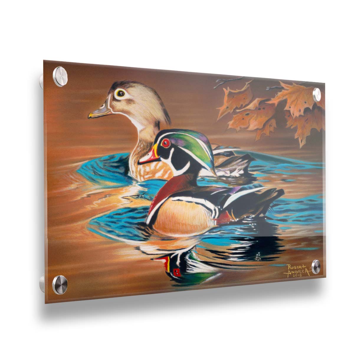 A painting of two wood ducks swimming through the water during fall. Their reflections are broken by the ripples of the water. Printed on acrylic.