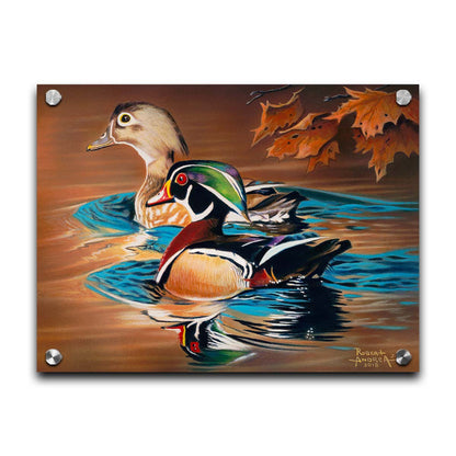 A painting of two wood ducks swimming through the water during fall. Their reflections are broken by the ripples of the water. Printed on acrylic.