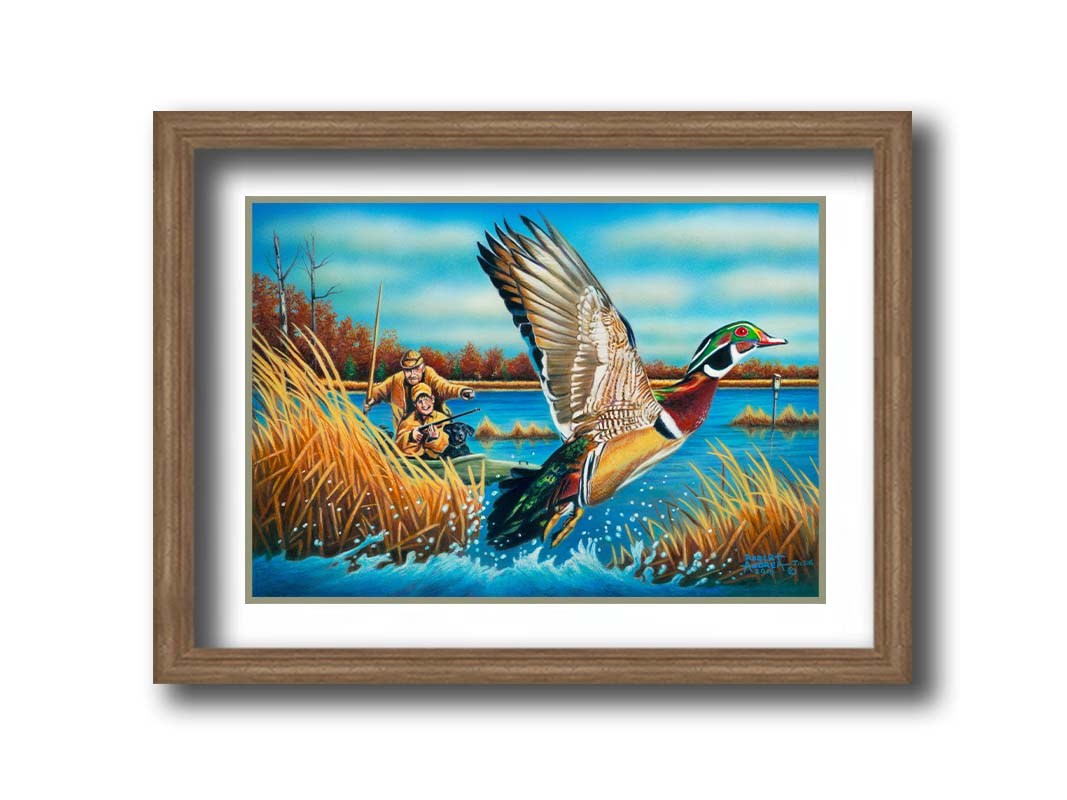 A painting of a wood duck taking flight off the water, after being startled by two approaching hunters in a kayak. Printed on paper, matted, and framed.