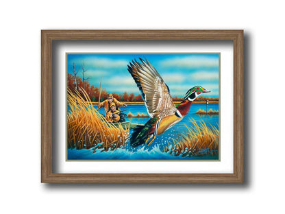 A painting of a wood duck taking flight off the water, after being startled by two approaching hunters in a kayak. Printed on paper, matted, and framed.