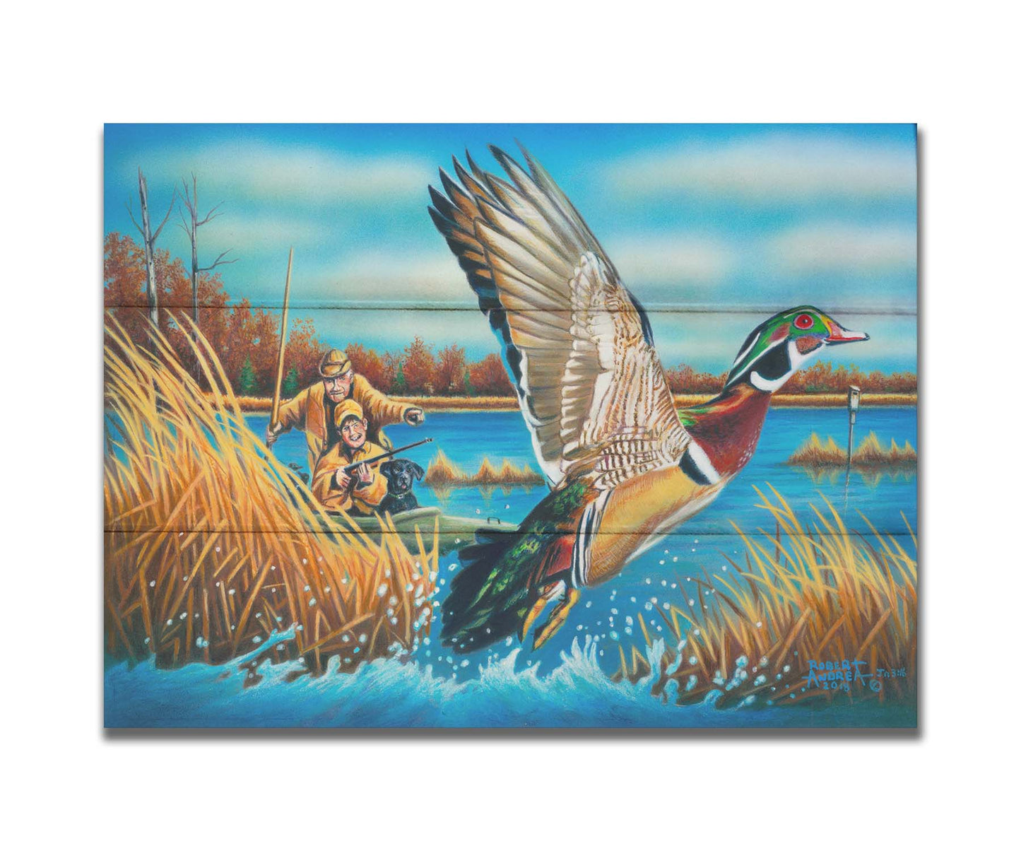 A painting of a wood duck taking flight off the water, after being startled by two approaching hunters in a kayak. Printed on a box board.