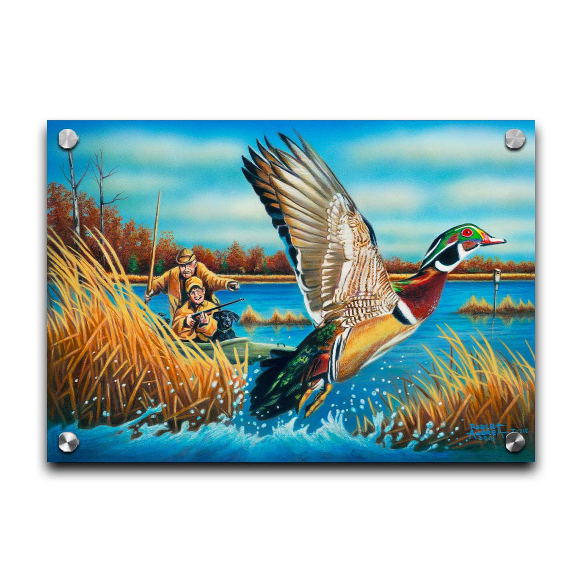 A painting of a wood duck taking flight off the water, after being startled by two approaching hunters in a kayak. Printed on acrylic.