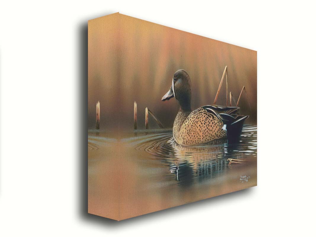 A painting of a blue-winged teal waterfowl, swimming across the water past seeral brown reeds. Printed on canvas.