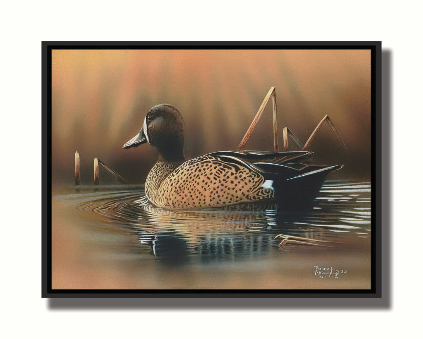 A painting of a blue-winged teal waterfowl, swimming across the water past seeral brown reeds. Printed on canvas in a float frame.