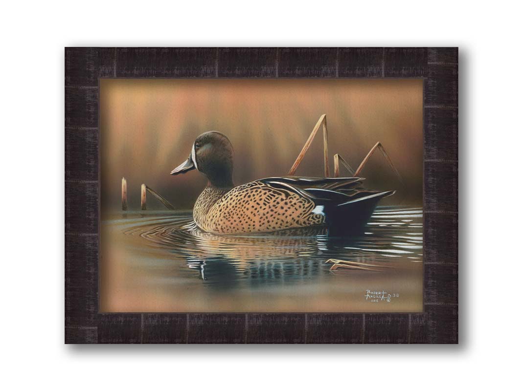 A painting of a blue-winged teal waterfowl, swimming across the water past seeral brown reeds. Printed on canvas and framed.