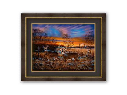 A painting of two whitetail deer in a field during a vivid sunset, with a large barn in the background. Printed on paper, matted, and framed.