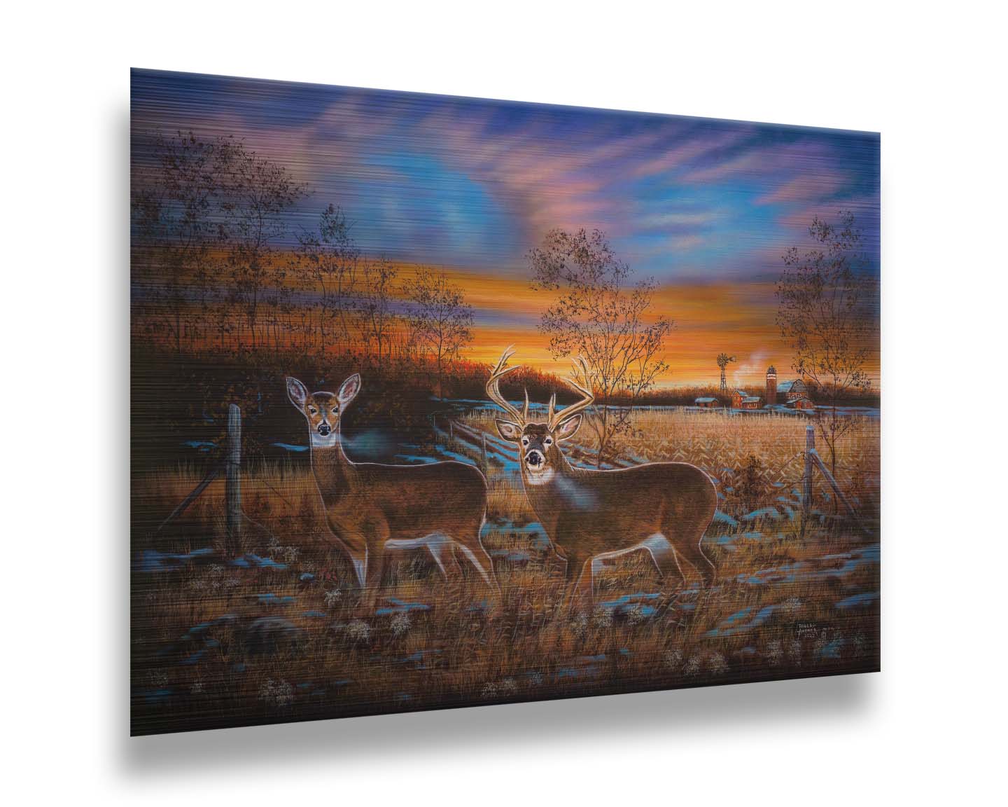 A painting of two whitetail deer in a field during a vivid sunset, with a large barn in the background. Printed on metal.