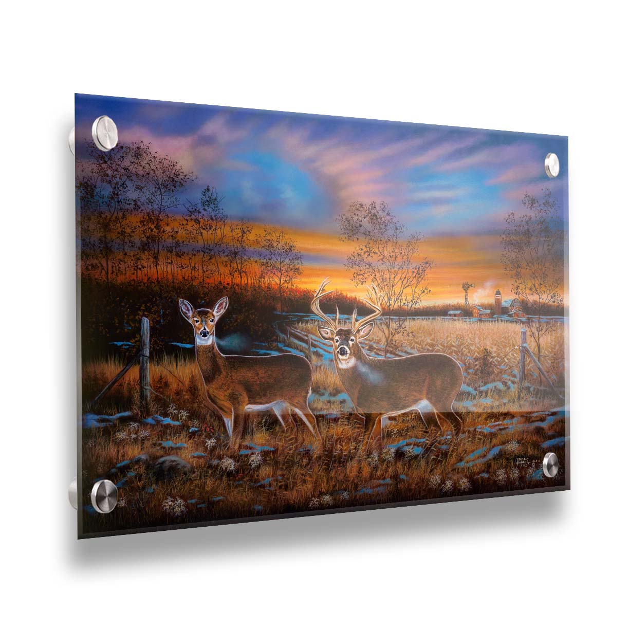 A painting of two whitetail deer in a field during a vivid sunset, with a large barn in the background. Printed on acrylic.