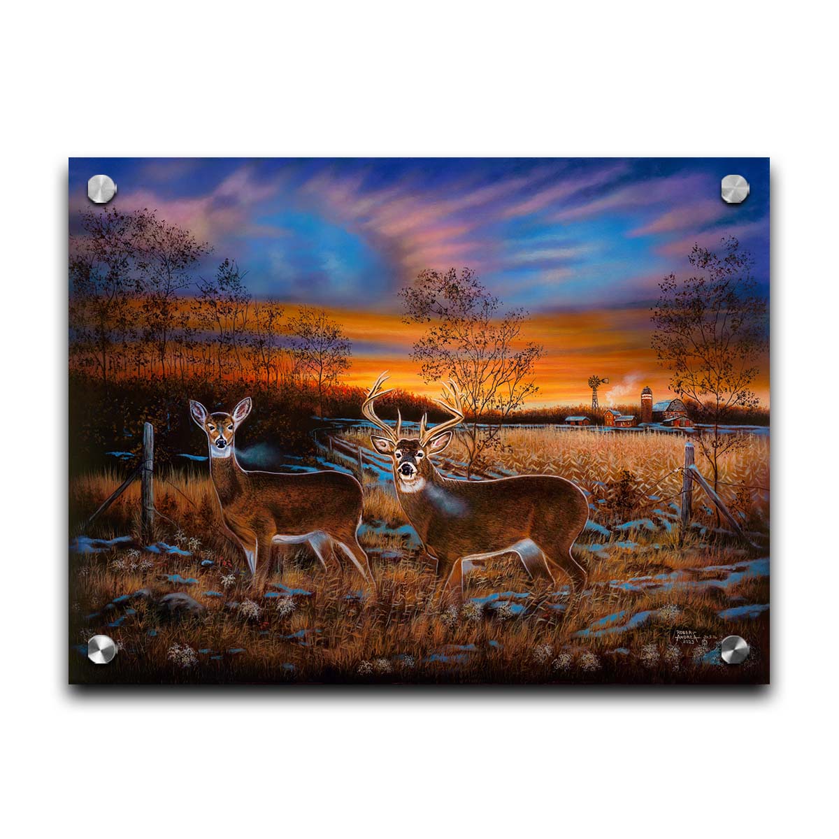 A painting of two whitetail deer in a field during a vivid sunset, with a large barn in the background. Printed on acrylic.