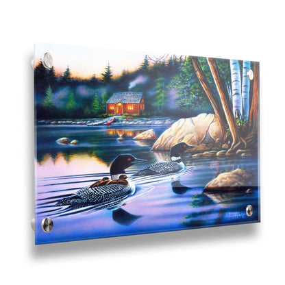 A painting of a family of loons swimming on a lake carrying their young. A pier extends to a cabin in the woods in the background. Printed on acrylic.