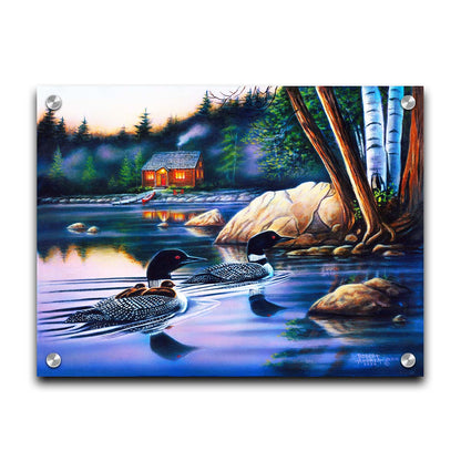 A painting of a family of loons swimming on a lake carrying their young. A pier extends to a cabin in the woods in the background. Printed on acrylic.