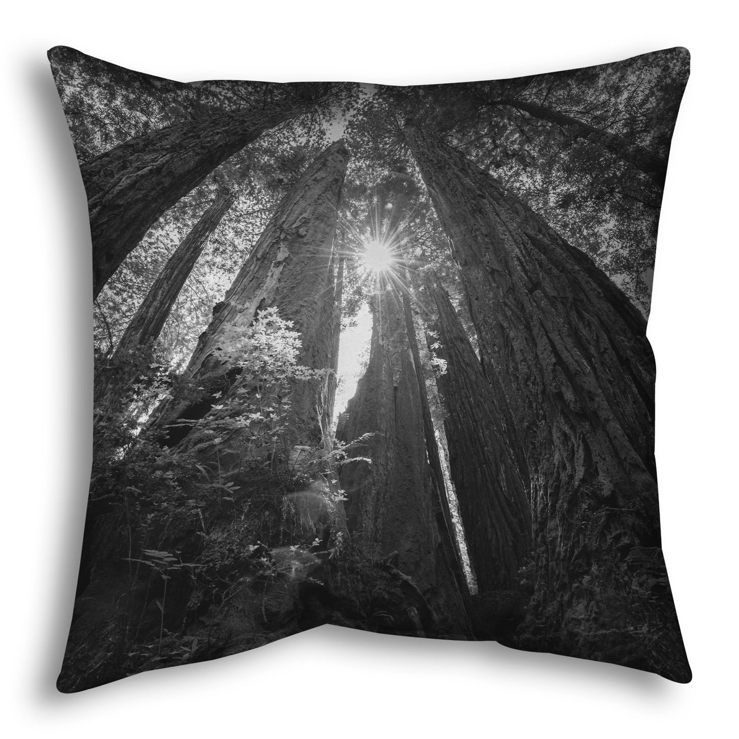 Throw pillow designed with a black and white photo looking up at the giant redwood trees in Redwood National Park, California.