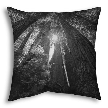 Throw pillow designed with a black and white photo looking up at the giant redwood trees in Redwood National Park, California.