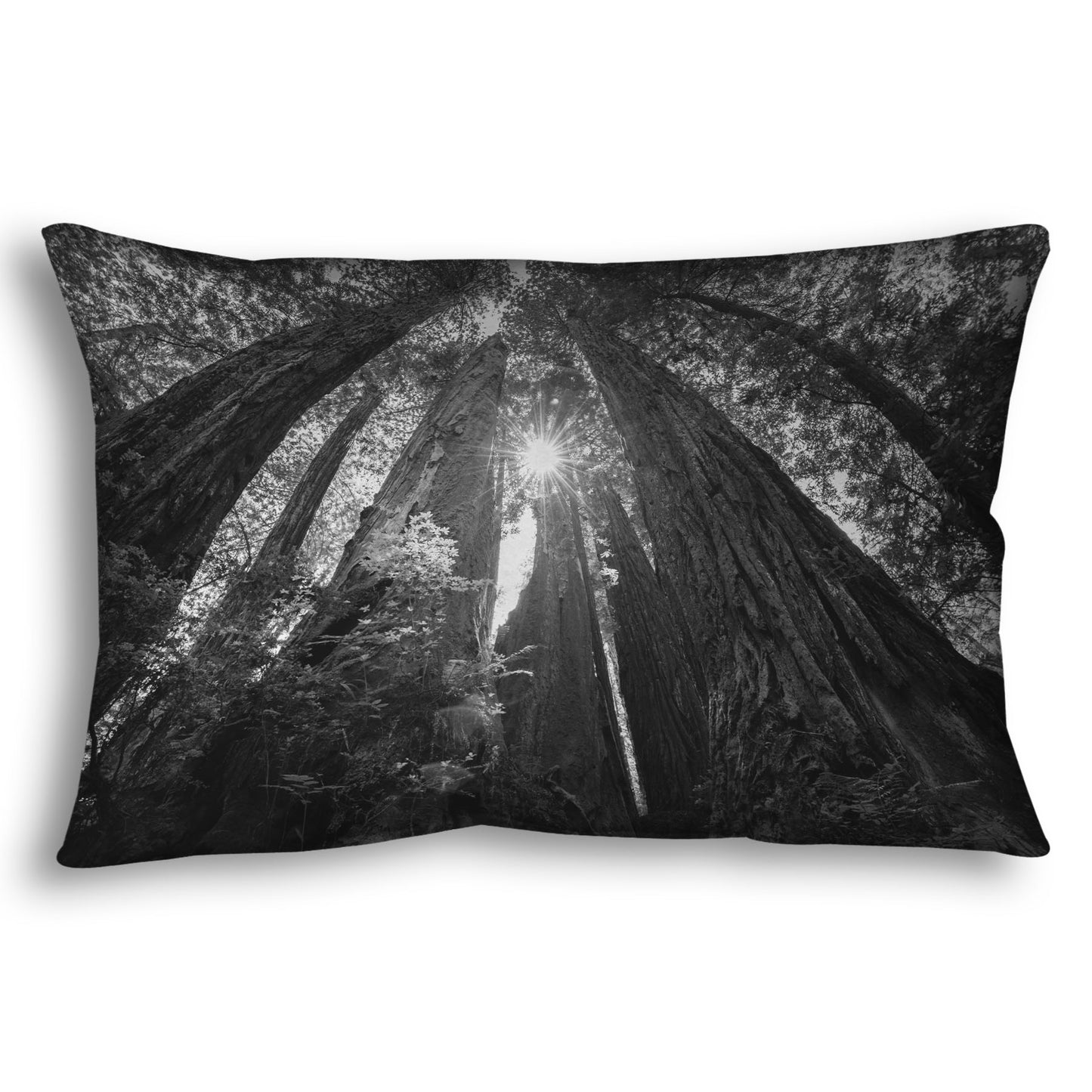 Throw pillow designed with a black and white photo looking up at the giant redwood trees in Redwood National Park, California.